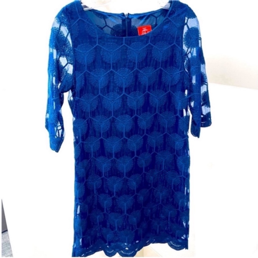 Elegant Tracy Negoshian Lace Dress Like New!